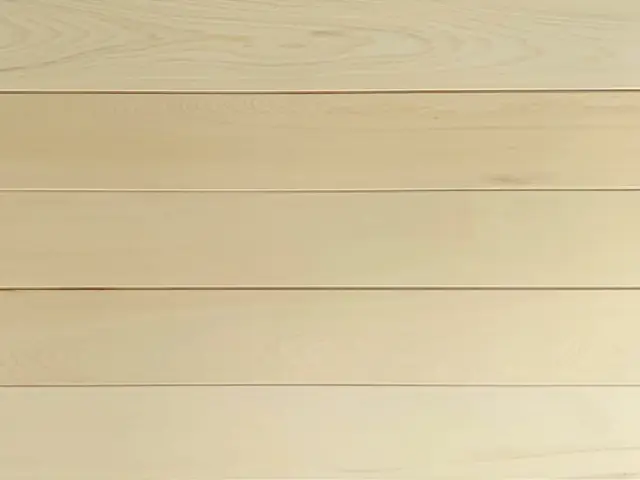 檜葉（ヒバ）