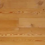 カラマツ