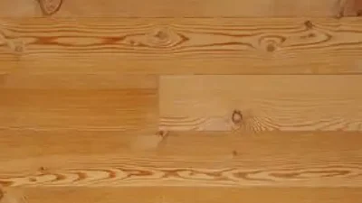 カラマツ