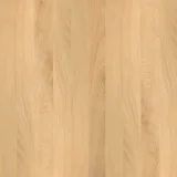 ブナ（ビーチ）