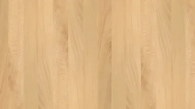 ブナ（ビーチ）