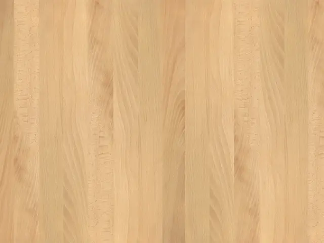 ブナ（ビーチ）