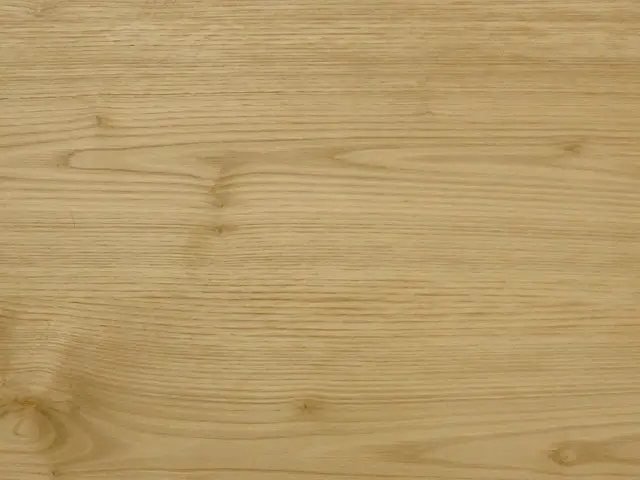 クリ（チェスナット）