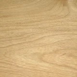 カバザクラ（バーチ）