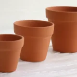テラコッタ