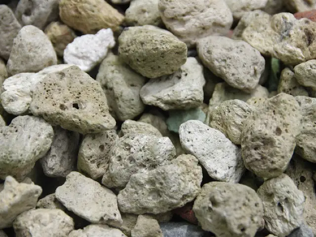 軽石／火山岩