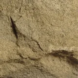 砂岩