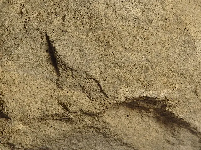 砂岩